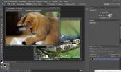    - Adobe Photoshop CS6 13.0 Pre Release (2011/RUS/ENG/X86/X64)