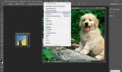    - Adobe Photoshop CS6 13.0 Pre Release (2011/RUS/ENG/X86/X64)