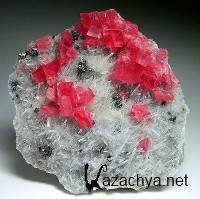    [226201 - 18001350, JPG, BMP, GIF, 13898]