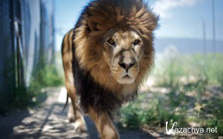 ������ ���������� ������� (����� 9)