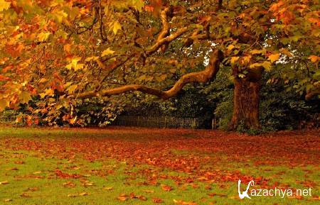 ������ ���������� ������� (����� 9)