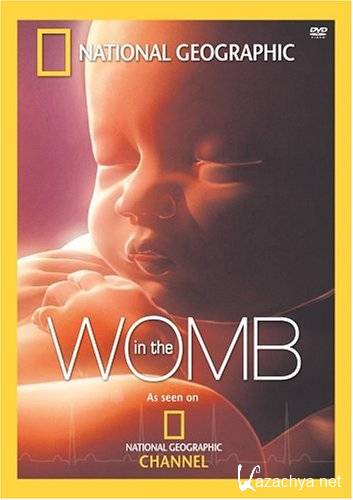   :    / In The Womb (2007 / TVRip / 700Mb)