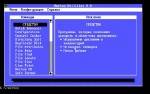 DOSBOX DOSPET9948 v0.2  2 (2011)