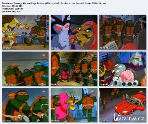    / Teenage Mutant Ninja Turtles / 10  193  (1987-1996) DVDRip