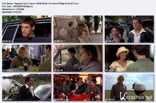     / Dumb & Dumber (1994) BDRip/2.18 Gb