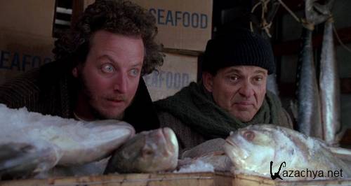   2:   - / Home Alone 2: Lost In New York (1992) HDRip + BDRip-AVC(720p) + BDRip 720p + BDRip 1080p