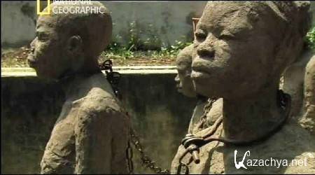 �������. �������� / Islands. Zanzibar (2011) SATRip