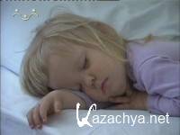  .    (1-33 ) / 2004 / TVRip