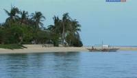 ,   / Palawan, the island of life (2009) SATRip