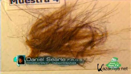 ������������ ����� �������. ��������� / Animal X. Natural Mystery (2005) SATRip