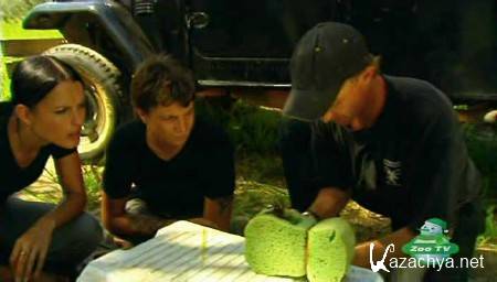   . -.   / Animal X (2005) SATRip