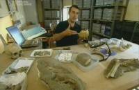 ������ ��� ������� / Pompeii Uncovered (2006) SATRip