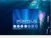 Porteus 1.1 [i486 + x86_64] (2xCD)