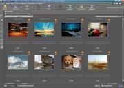 IDimager Professional Desktop Edition 5.1.1.8 