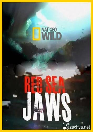    / Red Sea Jaws (2011) SATRip