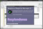 Registrar Registry Manager Pro 7.01.701.31220 Portable by Valx () 