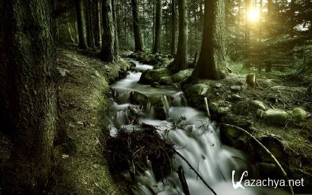 ������ ���������� ������� (����� 13)