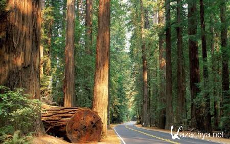 ������ ���������� ������� (����� 13)