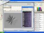 Macromedia Flash Professional 8 +  "  " +  Macromedia Flash 8