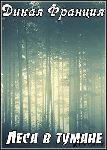  .    / Wild France. Forests in the Mist (2011) TVRip