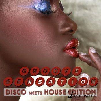Groove Sensation Vol 3 - Disco Meets House Edition (2011)