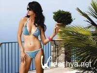 ������� �� ������� ���� �254