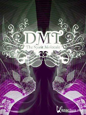 :   / DMT: The Spirit Molecule (2010) DVDRip