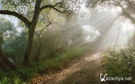 ������ ���������� ������� (����� 15)