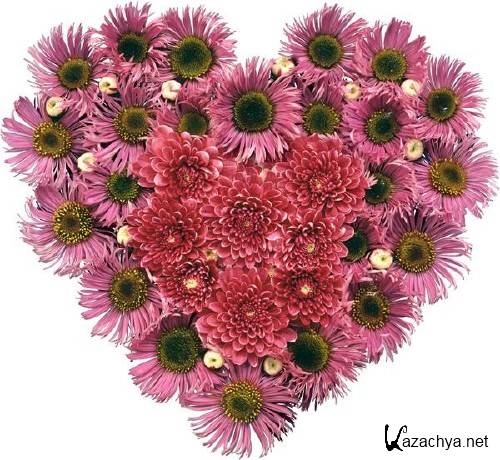 Фотосток: цветочное сердце Фотосток: цветочное сердце