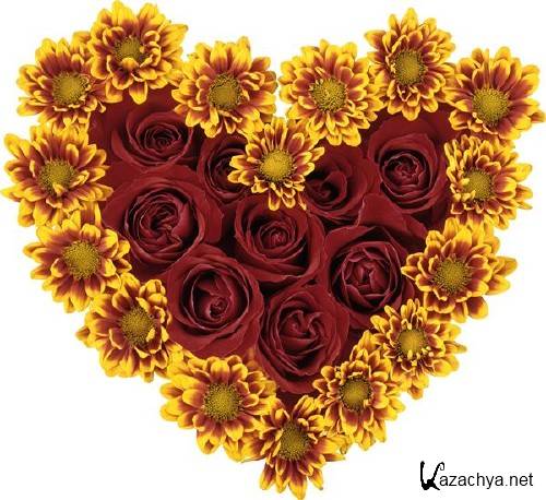 Фотосток: цветочное сердце Фотосток: цветочное сердце