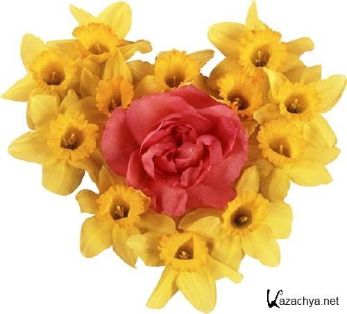 Фотосток: цветочное сердце Фотосток: цветочное сердце