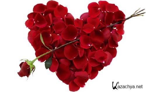 Фотосток: цветочное сердце Фотосток: цветочное сердце