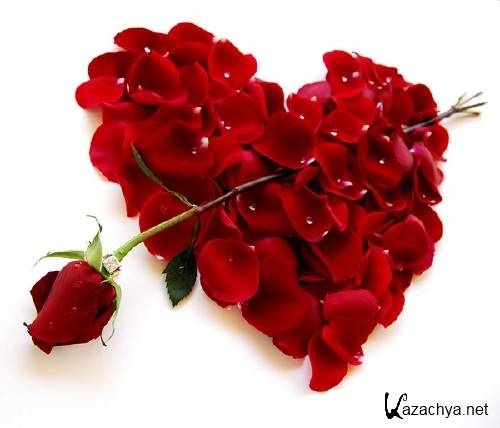 Фотосток: цветочное сердце Фотосток: цветочное сердце