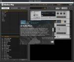 Native Instruments - Guitar Rig Pro 5 + IK Multimedia AmpliTube 3.6 