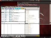 BackTrack 5 x86,x64,ARM (GNOME,KDE) ( )