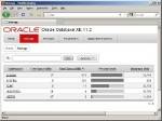Oracle Database 11g Release 2 Express Edition + ���������