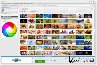 Picasa 3.9.0 Build 135.83 Portable by Baltagy [Multi/]