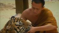    / The tiger and the monk (2007) SATRip