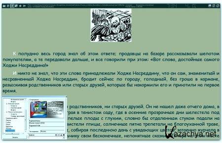 ICE Book Reader Professional Full 9.0.8 Portable (ML/RUS)