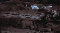  .   / Natural World. Elephant Cave (2003) SATRip