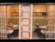 Discovery: ���������. �� �� ����� / Discovery: Alcatraz. Living hell (2007/SATRip)