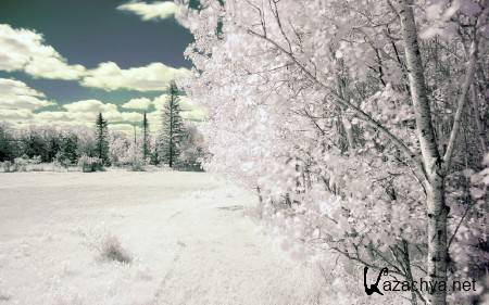 ������ ���������� ������� (����� 22)