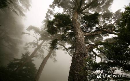 ������ ���������� ������� (����� 22)