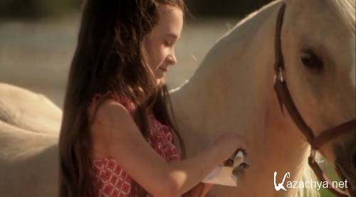    / Princess and the Pony (2011 / DVDRip)