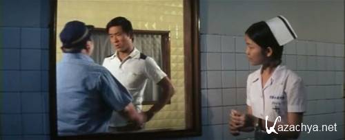   / Knight Errant (Ying xiong ben se) (1973 / DVDRip)