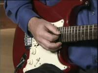       / Guitar Tutorial for Beginners (2011) DVDRip