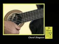       / Guitar Tutorial for Beginners (2011) DVDRip