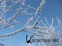 ���������� �������