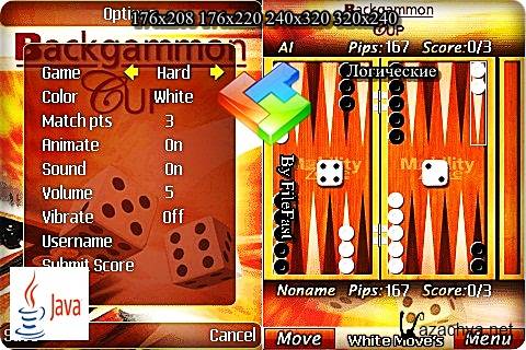 Backgammon Cup /   