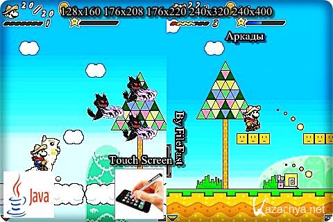 Super Mario: Forever 2+Touch Screen /  :  2